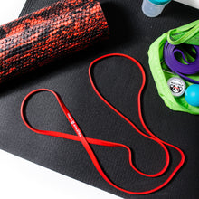 Load image into Gallery viewer, Panda Power Resistance Bands
