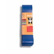 Load image into Gallery viewer, Panda Power Resistance Bands