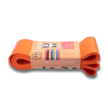 Load image into Gallery viewer, Panda Power Resistance Bands
